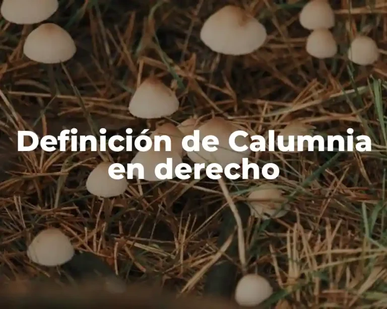 Definición de Calumnia en derecho