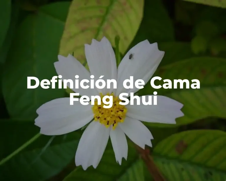 Definición de Cama Feng Shui