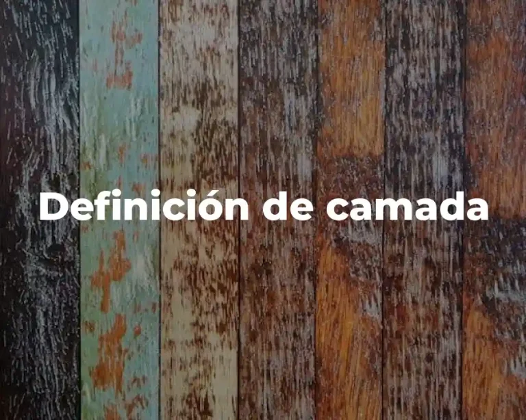 Definición de camada