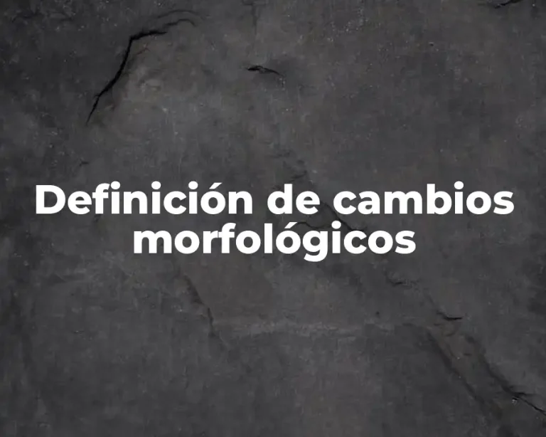 Definición de cambios morfológicos