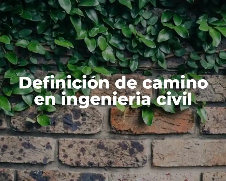 Definición de camino en ingenieria civil