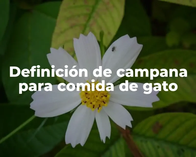 Definición de campana para comida de gato