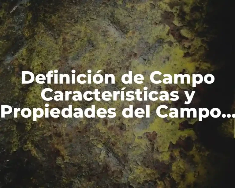 Definición de Campo Características y Propiedades del Campo Eléctrico