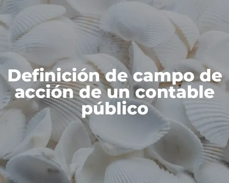 Definición de campo de acción de un contable público