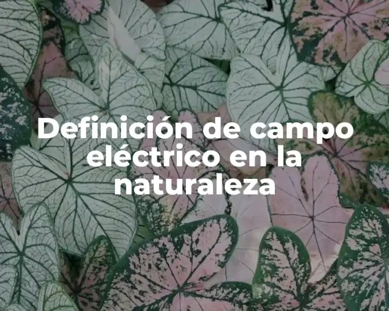 Definición de campo eléctrico en la naturaleza