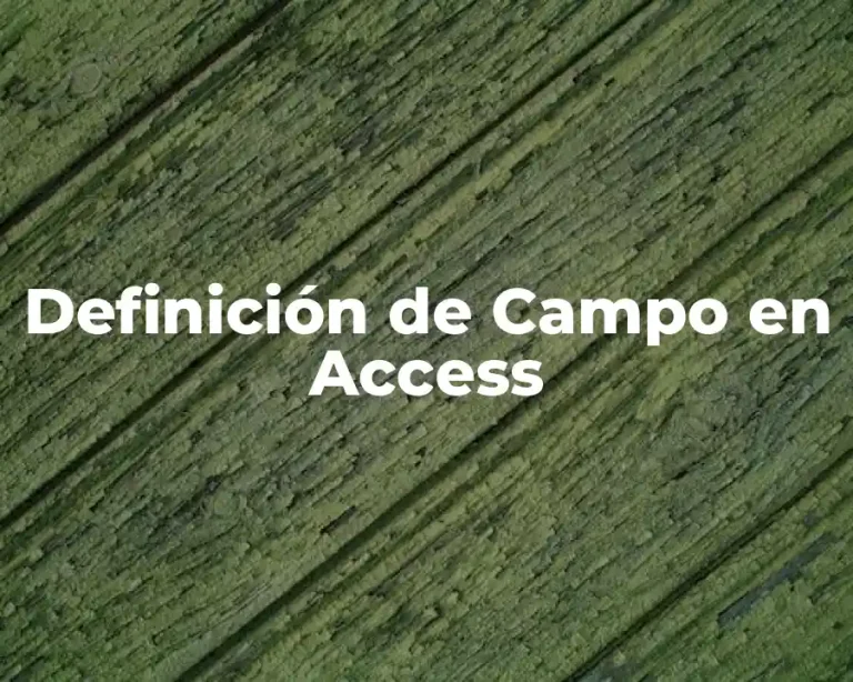 Definición de Campo en Access