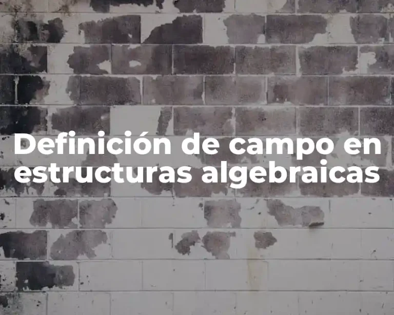 Definición de campo en estructuras algebraicas