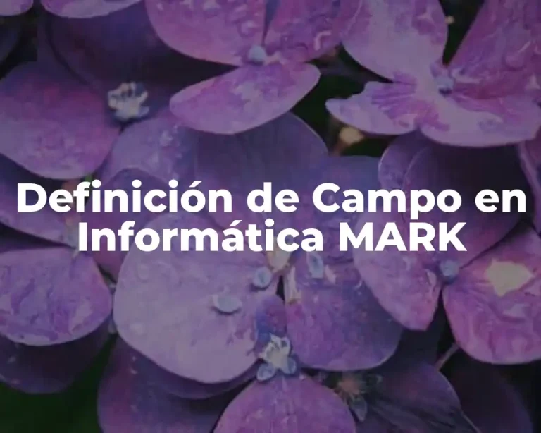 Definición de Campo en Informática MARK