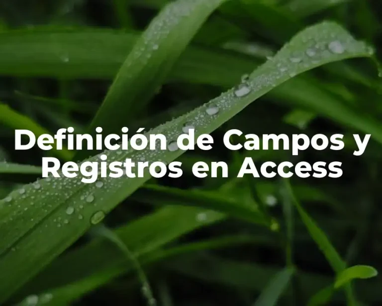 Definición de Campos y Registros en Access