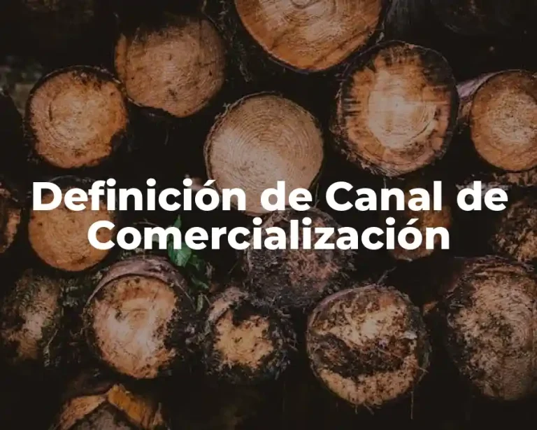 Definición de Canal de Comercialización