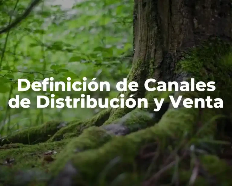 Definición de Canales de Distribución y Venta