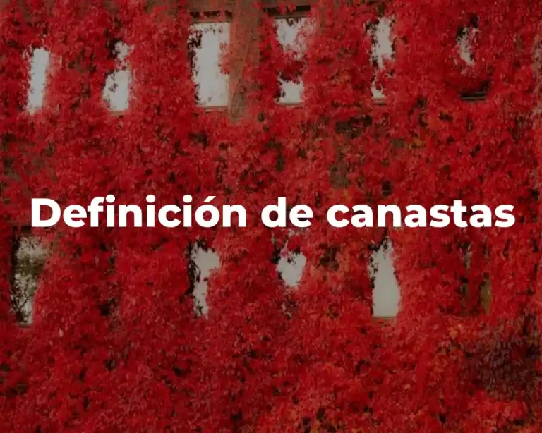 Definición de canastas