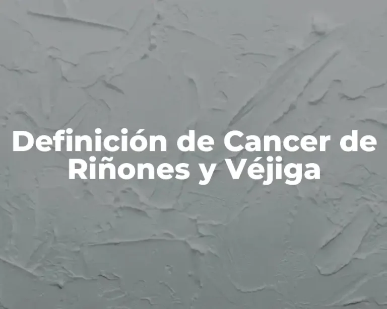 Definición de Cancer de Riñones y Véjiga