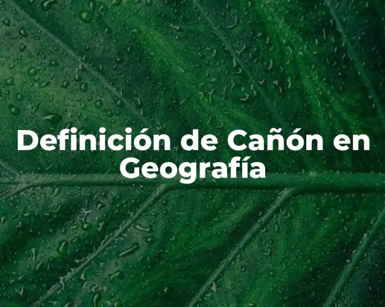 Definición de Cañón en Geografía