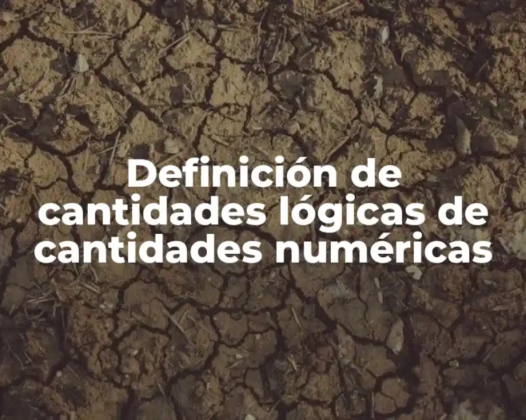 Definición de cantidades lógicas de cantidades numéricas