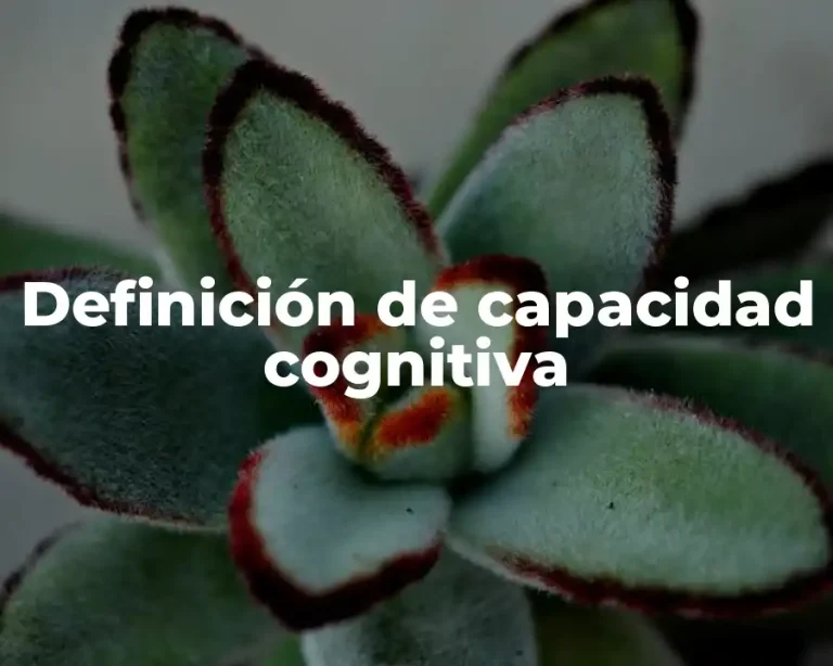Definición de capacidad cognitiva