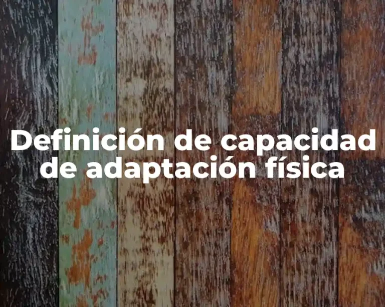 Definición de capacidad de adaptación física