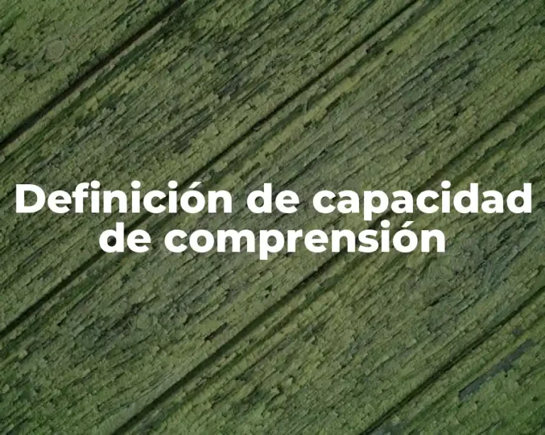 Definición de capacidad de comprensión