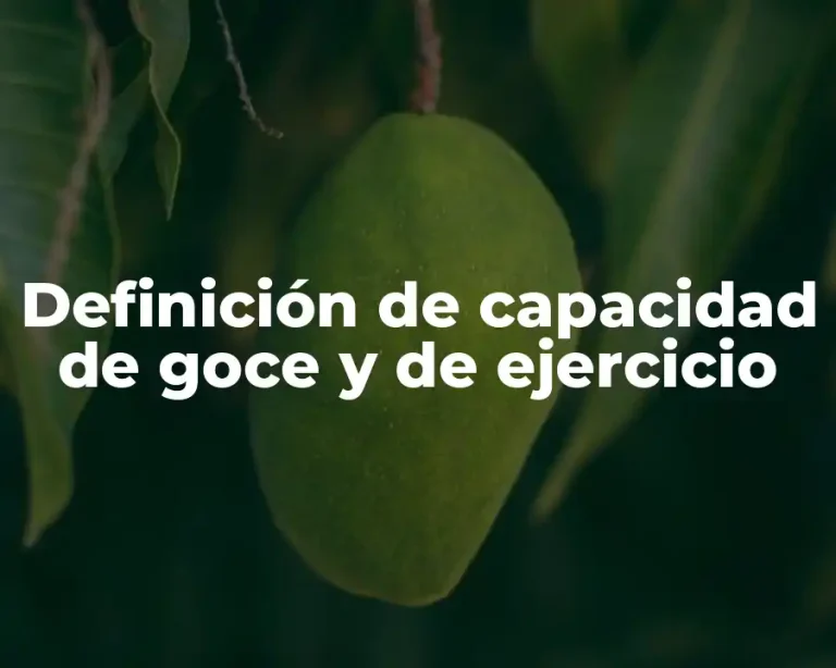 Definición de capacidad de goce y de ejercicio
