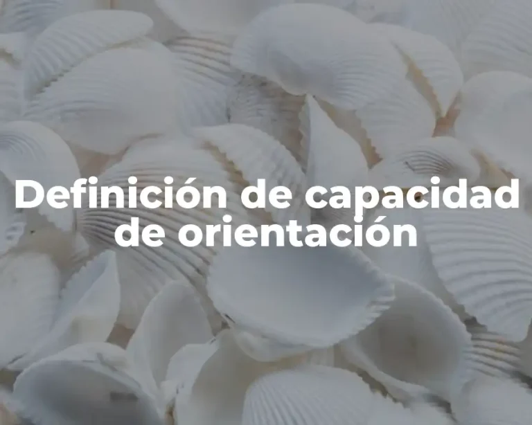 Definición de capacidad de orientación