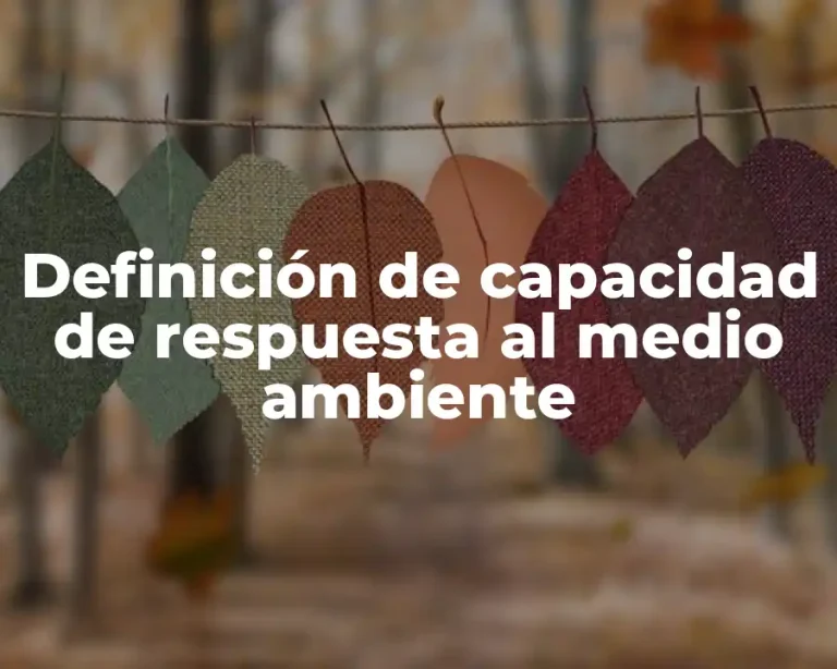 Definición de capacidad de respuesta al medio ambiente