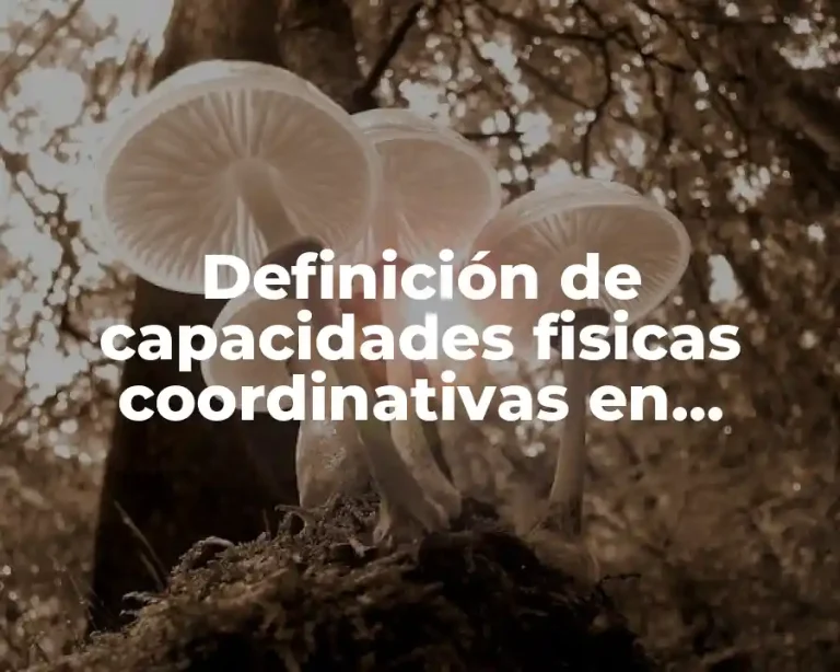Definición de capacidades fisicas coordinativas en educación física