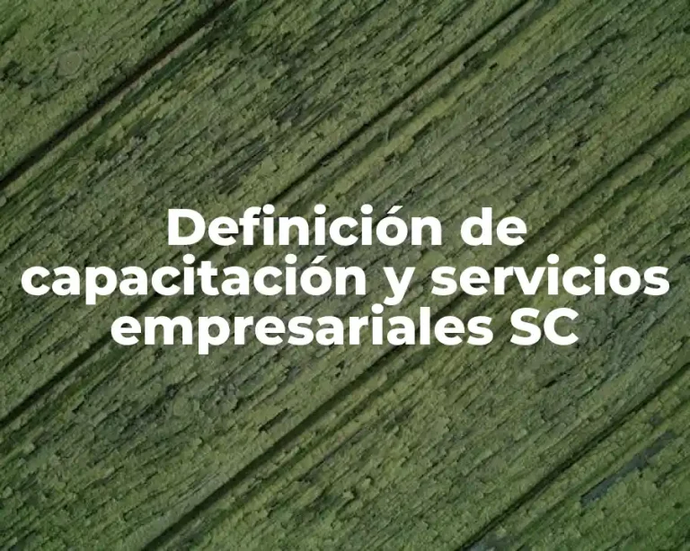 Definición de capacitación y servicios empresariales SC