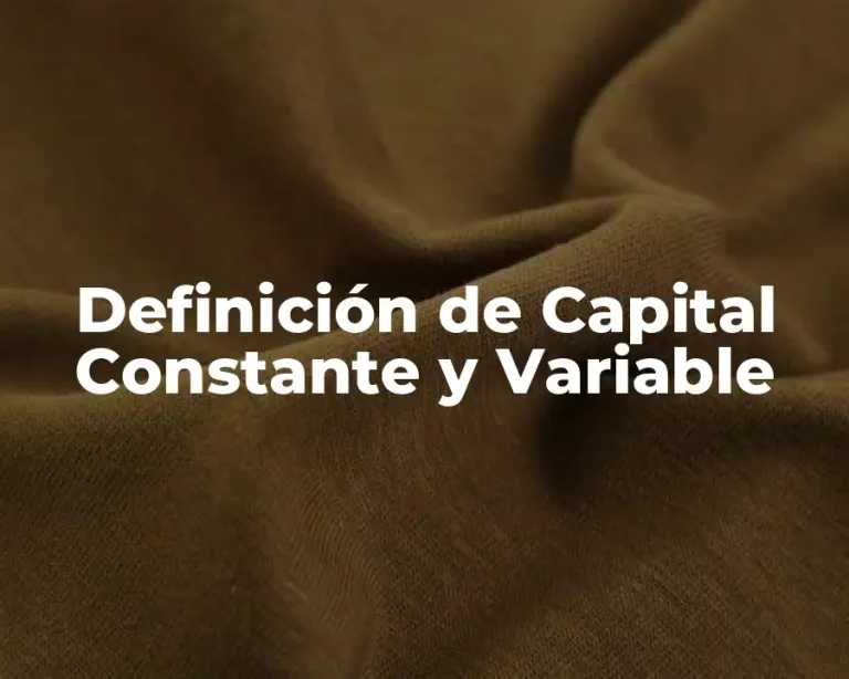 Definición de Capital Constante y Variable