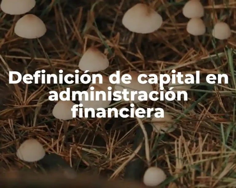 Definición de capital en administración financiera