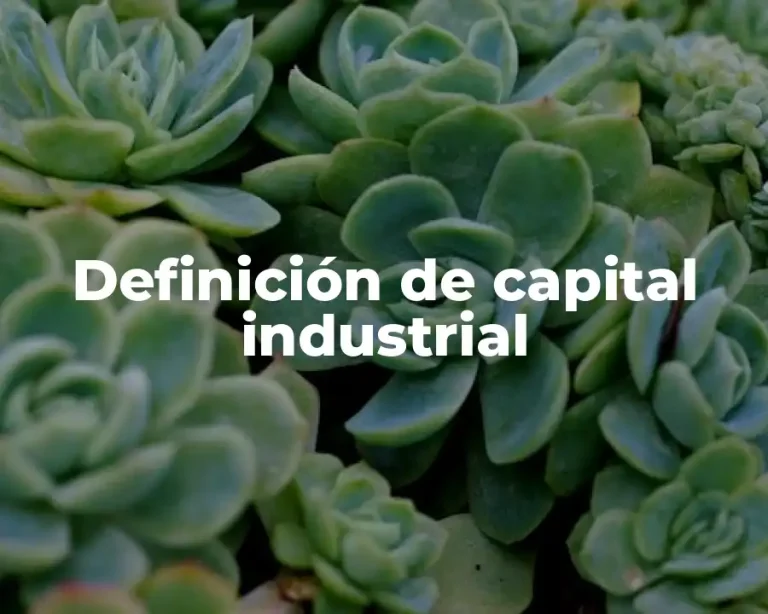 Definición de capital industrial