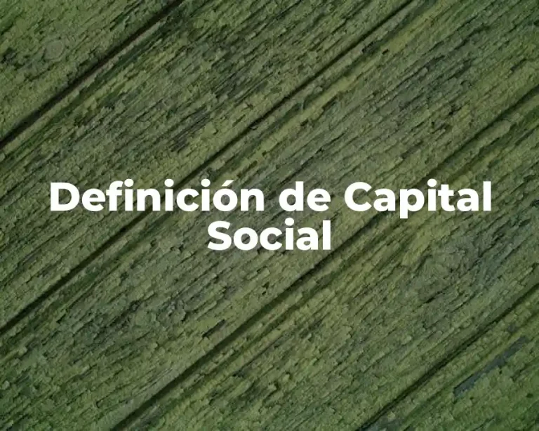 Definición de Capital Social