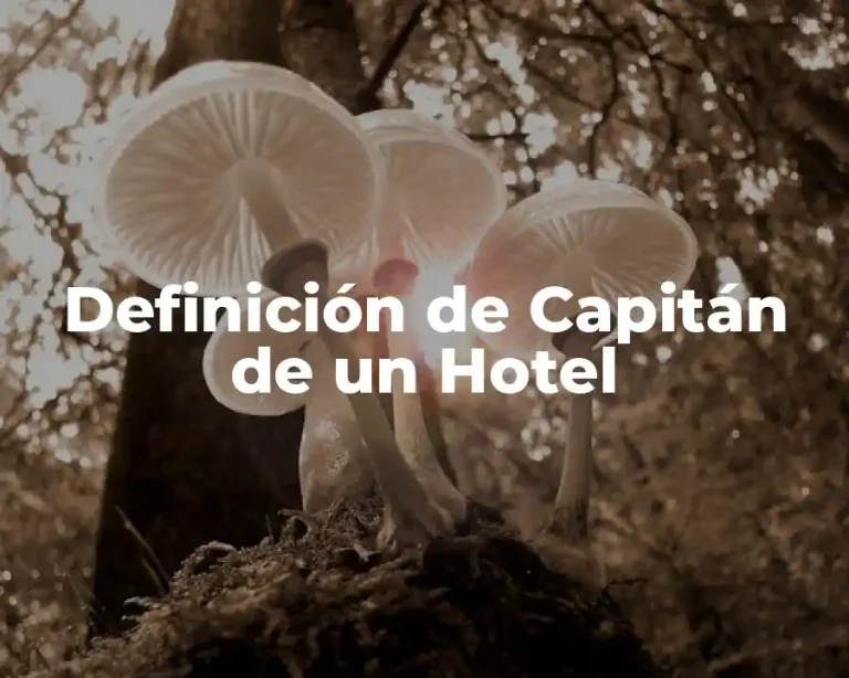 Definición de Capitán de un Hotel