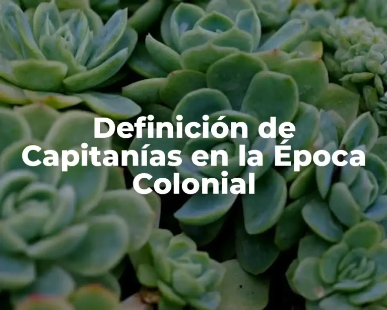 Definición de Capitanías en la Época Colonial