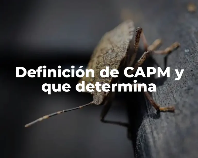 Definición de CAPM y que determina