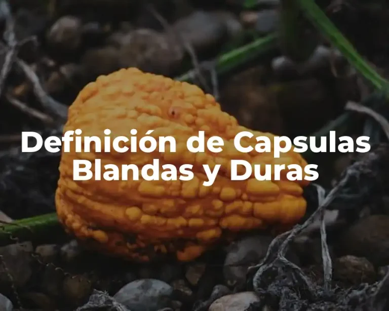 Definición de Capsulas Blandas y Duras