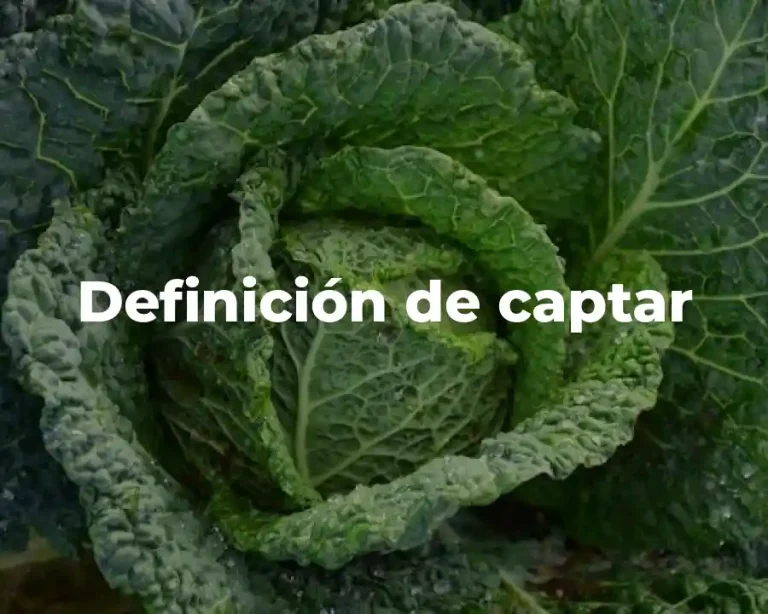 Definición de captar