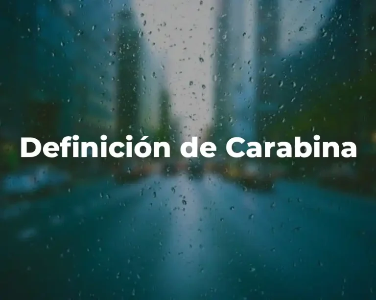Definición de Carabina