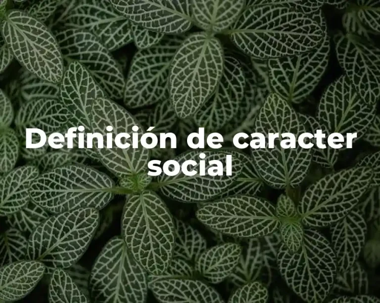 Definición de caracter social