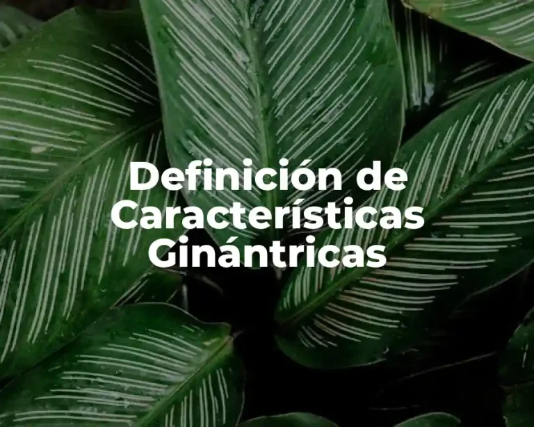Definición de Características Ginántricas
