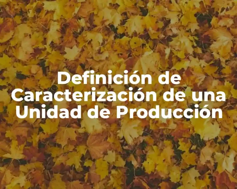 Definición de Caracterización de una Unidad de Producción