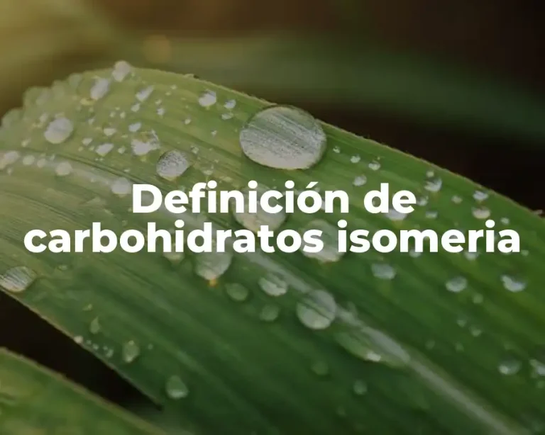 Definición de carbohidratos isomeria