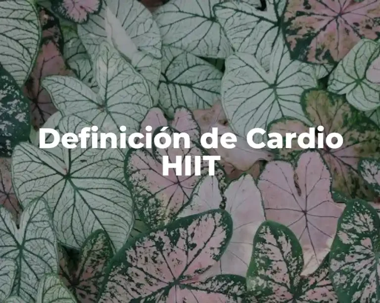 Definición de Cardio HIIT