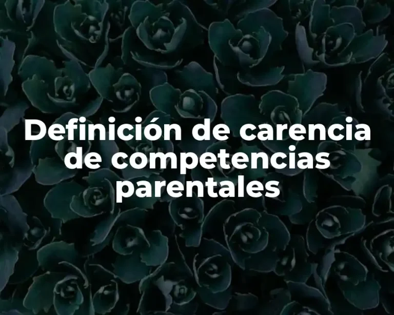 Definición de carencia de competencias parentales