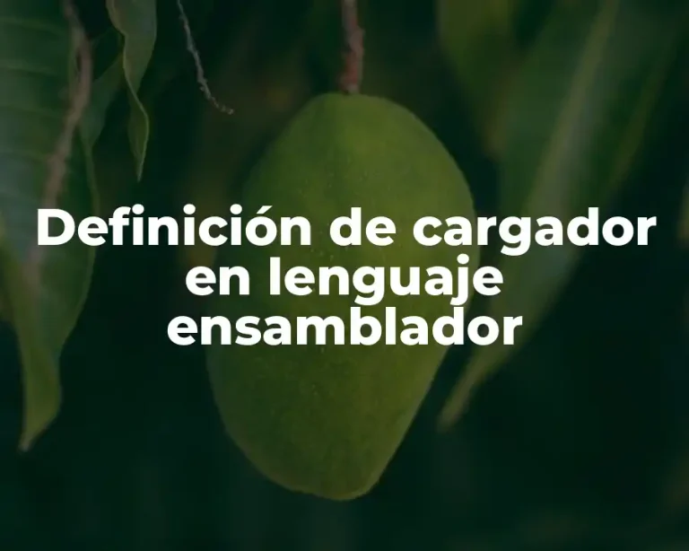 Definición de cargador en lenguaje ensamblador