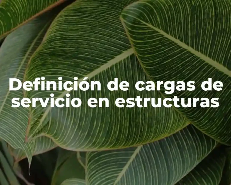 Definición de cargas de servicio en estructuras