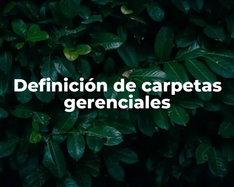 Definición de carpetas gerenciales