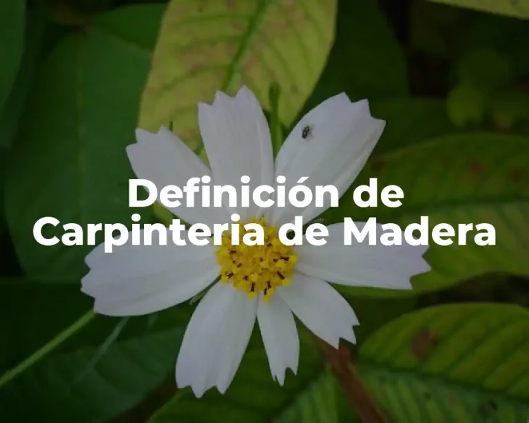 Definición de Carpinteria de Madera