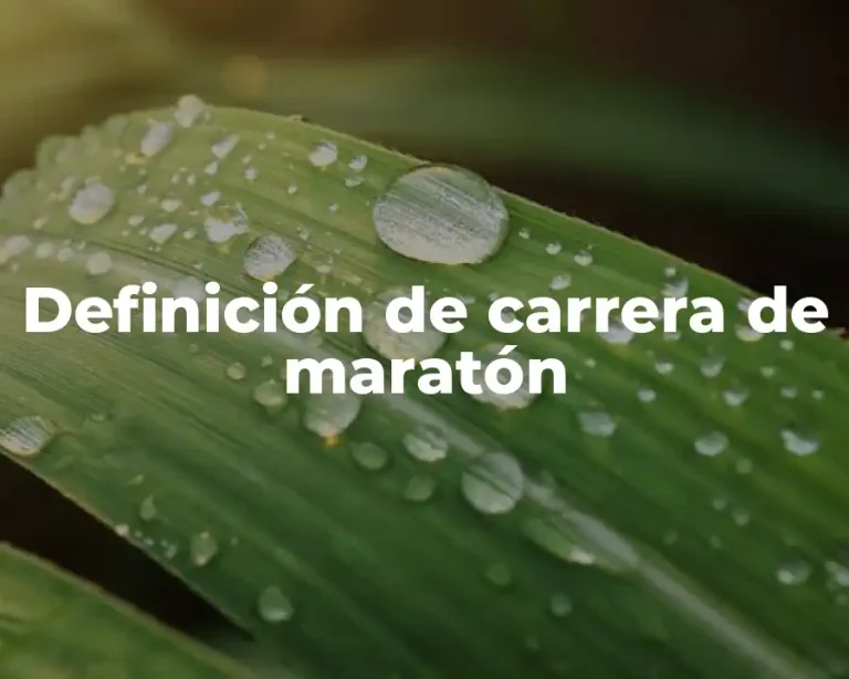 Definición de carrera de maratón