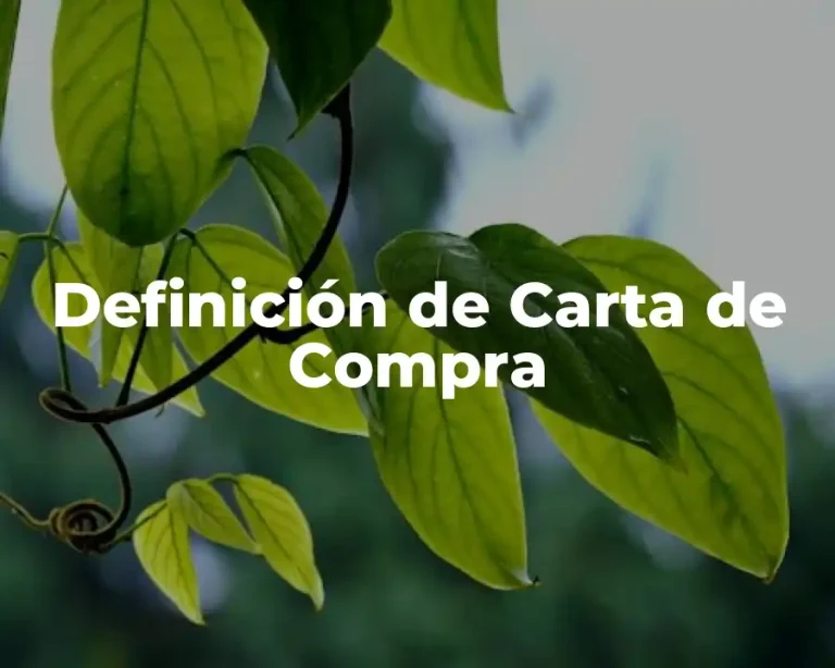 Definición de Carta de Compra