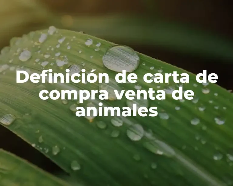 Definición de carta de compra venta de animales